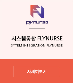 시스템통합 FLYNURSE